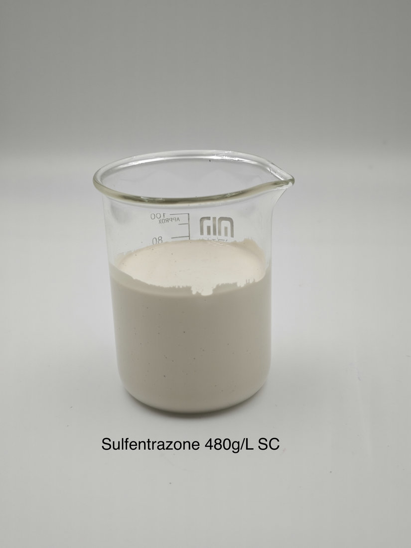 Sulfentrazone 480g/L SC